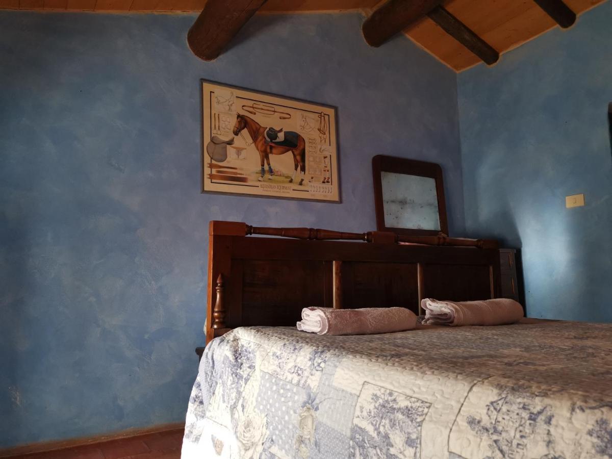 Daina Bianca Bed and Breakfast Solignano Εξωτερικό φωτογραφία
