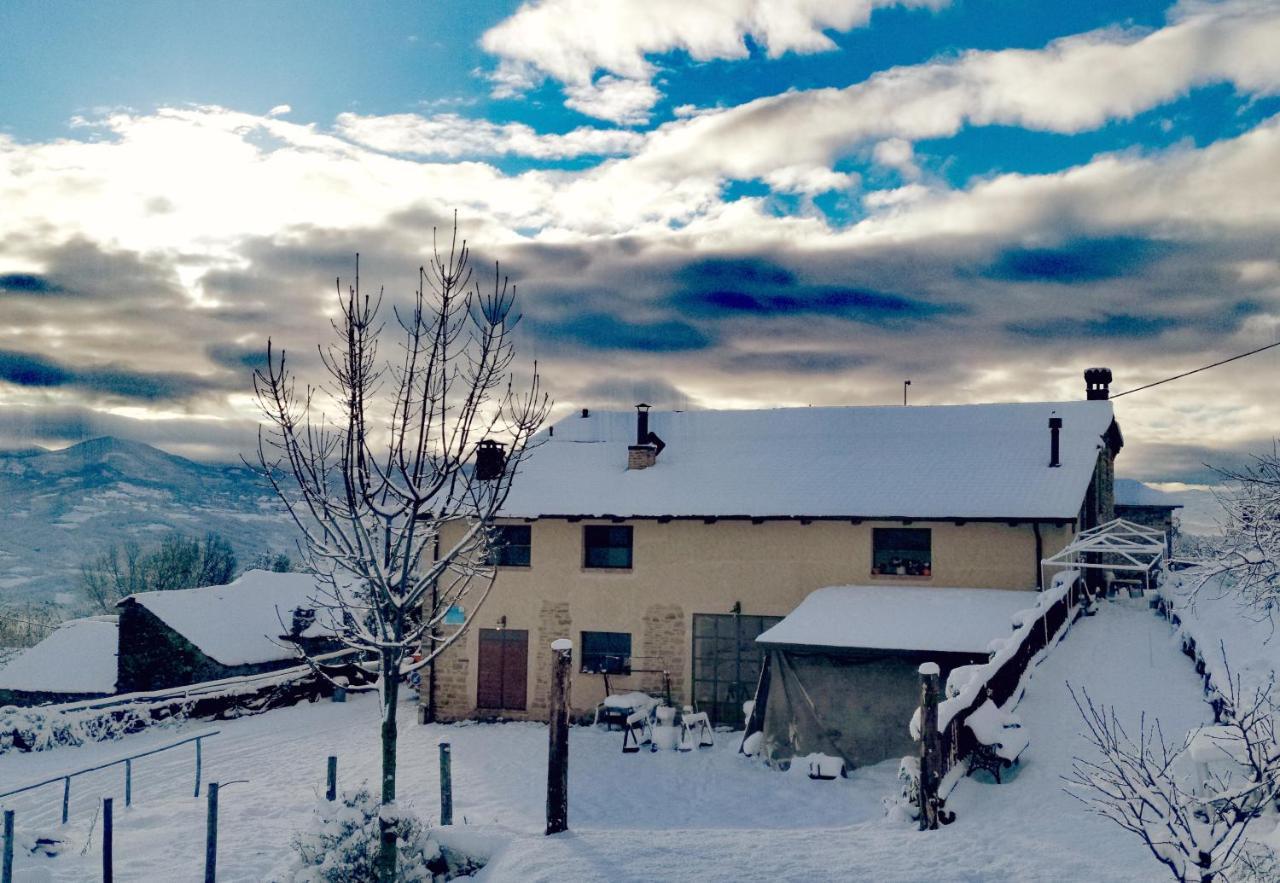 Daina Bianca Bed and Breakfast Solignano Εξωτερικό φωτογραφία